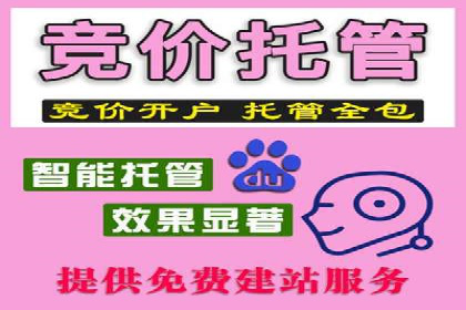 成功案例：网站sem托管如何影响销售数据